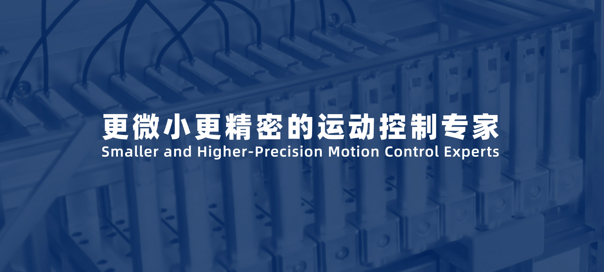 微小精密運動控制專家